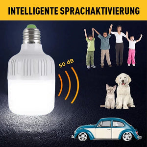 Sprachaktiviertes Induktions-LED-Licht