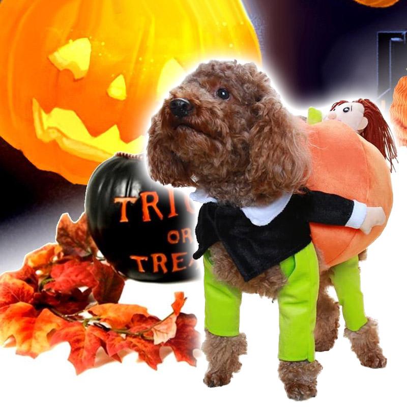 (🎃Frühe Halloween-Aktion🎃) Süße Kürbiskleidung für Haustiere