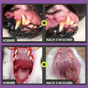 Zahnreinigungsspray für Hunde und Katzen